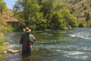 People fly fishing, Lower Deschutes River, Central Oregon, USA  Poster Print by Stuart Westmorland - Item # VARPDDUS38SWR0103