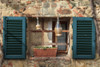 Italy, Monteriggioni. Stone wall, curtained window with blue shutters. Poster Print by Emily Wilson - Item # VARPDDEU16EWI0306