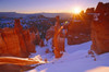 Winter sunrise on Thor's Hammer, Bryce Canyon National Park, Utah, USA. Poster Print by Russ Bishop - Item # VARPDDUS45RBS0062