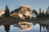 Whatcom Peak reflected in Tapto Lake, North Cascades National Park Poster Print by Alan Majchrowicz (24 x 18) # US48AMA0011