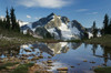 Whatcom Peak reflected in Tapto Lake, North Cascades National Park Poster Print by Alan Majchrowicz (24 x 18) # US48AMA0078