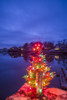 USA, Massachusetts, Cape Ann, Annisquam. Lobster Cove, Christmas Tree Poster Print by Walter Bibikow - Item # VARPDDUS22WBI3002