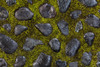 USA, Washington State, Bainbridge Island. Detail of stones and moss.  Poster Print by Jaynes Gallery - Item # VARPDDUS48BJY0872