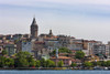 Galata Tower and houses along the waterfront. Golden Horn, Istanbul, Turkey. Poster Print by Keren Su - Item # VARPDDAS37KSU0048