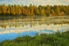 Canada, Ontario, Algonquin Provincial Park. Lake reflections at sunset. Poster Print by Jaynes Gallery - Item # VARPDDCN08BJY0286