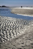 Beach at low tide, Honeymoon Island State Park, Dunedin, Florida, USA Poster Print by Lisa Engelbrecht - Item # VARPDDUS10LEN1046