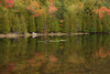 USA, Maine. Acadia National Park, reflections in the fall at Bubble Pond. Poster Print by Joanne Wells - Item # VARPDDUS20JWL0204