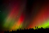 Canada, Manitoba, Birds Hill Provincial Park. Aurora borealis and trees. Poster Print by Jaynes Gallery - Item # VARPDDCN03BJY0326