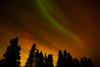 Canada, Manitoba, Birds Hill Provincial Park. Aurora borealis and trees. Poster Print by Jaynes Gallery - Item # VARPDDCN03BJY0327