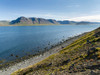 Landscape at fjord Dyrafjordur The remote Westfjords in northwest Iceland Poster Print by Martin Zwick (24 x 18) # EU14MZW1654