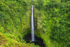 Akaka Falls, Akaka Falls State Park, Hamakua Coast, Big Island, Hawaii, USA Poster Print by Russ Bishop - Item # VARPDDUS12RBS0352