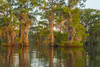 USA, Louisiana, Atchafalaya National Wildlife Refuge. Sunrise on swamp.  Poster Print by Jaynes Gallery - Item # VARPDDUS19BJY0148