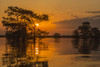 USA, Louisiana, Atchafalaya National Wildlife Refuge. Sunrise on swamp.  Poster Print by Jaynes Gallery - Item # VARPDDUS19BJY0222