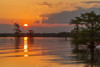 USA, Louisiana, Atchafalaya National Wildlife Refuge. Sunrise on swamp.  Poster Print by Jaynes Gallery - Item # VARPDDUS19BJY0257