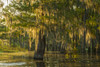 USA, Louisiana, Atchafalaya National Wildlife Refuge. Sunrise on swamp.  Poster Print by Jaynes Gallery - Item # VARPDDUS19BJY0265
