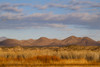 Bosque del Apache National Wildlife Refuge, Socorro County, New Mexico, USA Poster Print by Larry Ditto - Item # VARPDDUS32LDI0128