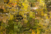 USA, Tennessee. Reflections along the Little River in the Smoky Mountains. Poster Print by Joanne Wells - Item # VARPDDUS43JWL0210