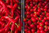 Canada, Quebec, Montreal. Little Italy, Marche Jean Talon Market, peppers Poster Print by Walter Bibikow - Item # VARPDDCN10WBI0359