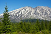 Lahar Area, south side of Mount St. Helens National Volcanic Monument, WA. Poster Print by Michel Hersen - Item # VARPDDUS48MHE0425