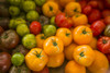 Canada, Quebec, Montreal. Little Italy, Marche Jean Talon Market, tomatoes Poster Print by Walter Bibikow - Item # VARPDDCN10WBI0392