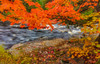 Sturgeon River in autumn near Alberta in the Upper Peninsula of Michigan, USA Poster Print by Chuck Haney (24 x 18) # US23CHA0348