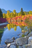 Autumn color, White River, Wenatchee National Forest, Washington State, USA Poster Print by Michel Hersen - Item # VARPDDUS48MHE0359
