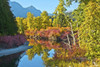 Autumn color, White River, Wenatchee National Forest, Washington State, USA Poster Print by Michel Hersen - Item # VARPDDUS48MHE0363