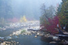 Foggy autumn, Nason Creek, Wenatchee National Forest, Washington State, USA Poster Print by Michel Hersen - Item # VARPDDUS48MHE0391