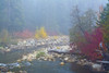 Foggy autumn, Nason Creek, Wenatchee National Forest, Washington State, USA Poster Print by Michel Hersen - Item # VARPDDUS48MHE0393