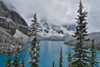 Lake Moraine with fresh late summer snow Banff National Park, Alberta, Canada Poster Print by Sylvia Gulin - Item # VARPDDCN01SGU0004