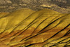 Overlook detail, Painted Hills, John Day Fossil Beds, Mitchell, Oregon, USA. Poster Print by Michel Hersen - Item # VARPDDUS38MHE1153