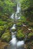 Canada, New Brunswick, Fundy National Park. Dickson Creek waterfall cascade. Poster Print by Jaynes Gallery - Item # VARPDDCN04BJY0051