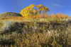 Canada, Saskatchewan, Saskatchewan Landing Provincial Park. Hills in autumn. Poster Print by Jaynes Gallery - Item # VARPDDCN11BJY0030