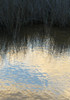 Reflections, Merritt Island National Wildlife Refuge, Titusville, Florida, USA Poster Print by Maresa Pryor - Item # VARPDDUS10MPR1178