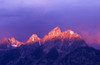 Pink light at dawn on the Grand Teton, Grand Teton National Park, Wyoming, USA. Poster Print by Russ Bishop - Item # VARPDDUS51RBS0051
