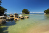 Mosquito Bay, Abel Tasman National Park, Nelson Region, South Island, New Zealand Poster Print by David Wall - Item # VARPDDAU03DWA0109