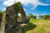 Ruins of Rust Op Twist Sugar Mill plantation, St Croix, US Virgin Islands Poster Print by Michael DeFreitas (24 x 18) # CA37MDE0019