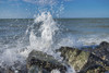 Waves crashing on rocks, Honeymoon Island State Park, Dunedin, Florida, USA Poster Print by Lisa Engelbrecht - Item # VARPDDUS10LEN1048