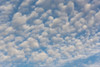 USA, Washington State. Mackerel sky makes compelling patterns in bright blue sky Poster Print by Trish Drury - Item # VARPDDUS48TDR1723