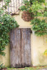 Italy, Chianti. Radda. Wooden door with greenery and decorative terracotta face. Poster Print by Emily Wilson - Item # VARPDDEU16EWI0227