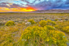 USA, Colorado, Great Sand Dunes National Park and Preserve. Sunset over dunes. Poster Print by Jaynes Gallery - Item # VARPDDUS06BJY1390