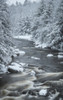 USA, West Virginia, Blackwater Falls State Park. Forest and stream in winter.  Poster Print by Jaynes Gallery - Item # VARPDDUS49BJY0064