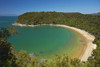 Te Pukatea Bay, Abel Tasman National Park, Nelson Region, South Island, New Zealand Poster Print by David Wall - Item # VARPDDAU03DWA0132