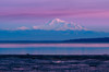 Canada, British Columbia, Boundary Bay Mount Baker from the shoreline at sunset Poster Print by Yuri Choufour (24 x 18) # CN02YCH0046