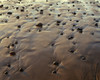 USA, Oregon. Evening light defines wet beach with scattered rocks, near Oceanside. Poster Print by John Barger - Item # VARPDDUS38JBA0294