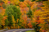 Autumn color along Highway 26 near Houghton in the Upper Peninsula of Michigan, USA Poster Print by Chuck Haney (24 x 18) # US23CHA0337