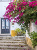 Portugal, Obidos. Beautiful bougainvillea blooming in the town of Obidos, Portugal. Poster Print by Julie Eggers - Item # VARPDDEU23JEG0315