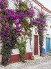 Portugal, Obidos. Beautiful bougainvillea blooming in the town of Obidos, Portugal. Poster Print by Julie Eggers - Item # VARPDDEU23JEG0319