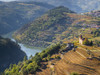 Portugal, Douro Valley. Vineyards and small community of the Douro Valley in autumn Poster Print by Julie Eggers - Item # VARPDDEU23JEG0395