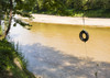 USA, Louisiana. Lower Mississippi River Basin, St. Francisville, road to Cat Island Poster Print by Alison Jones - Item # VARPDDUS19AJN0324